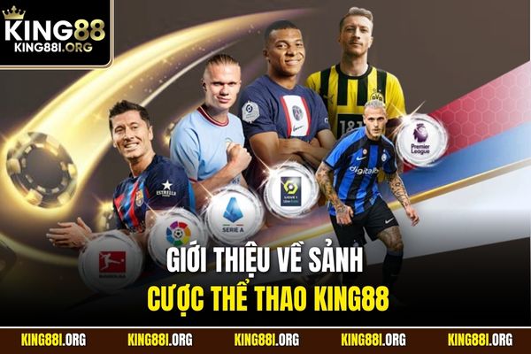 Giới thiệu về sảnh cược thể thao KING88